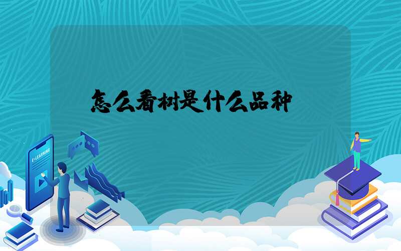  怎么看树是什么品种